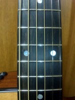 Taylor 314ce 指板